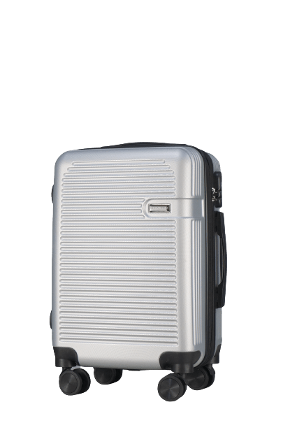 Travel Life ABS Spinner Expendable (Single) - Silver, 25" image